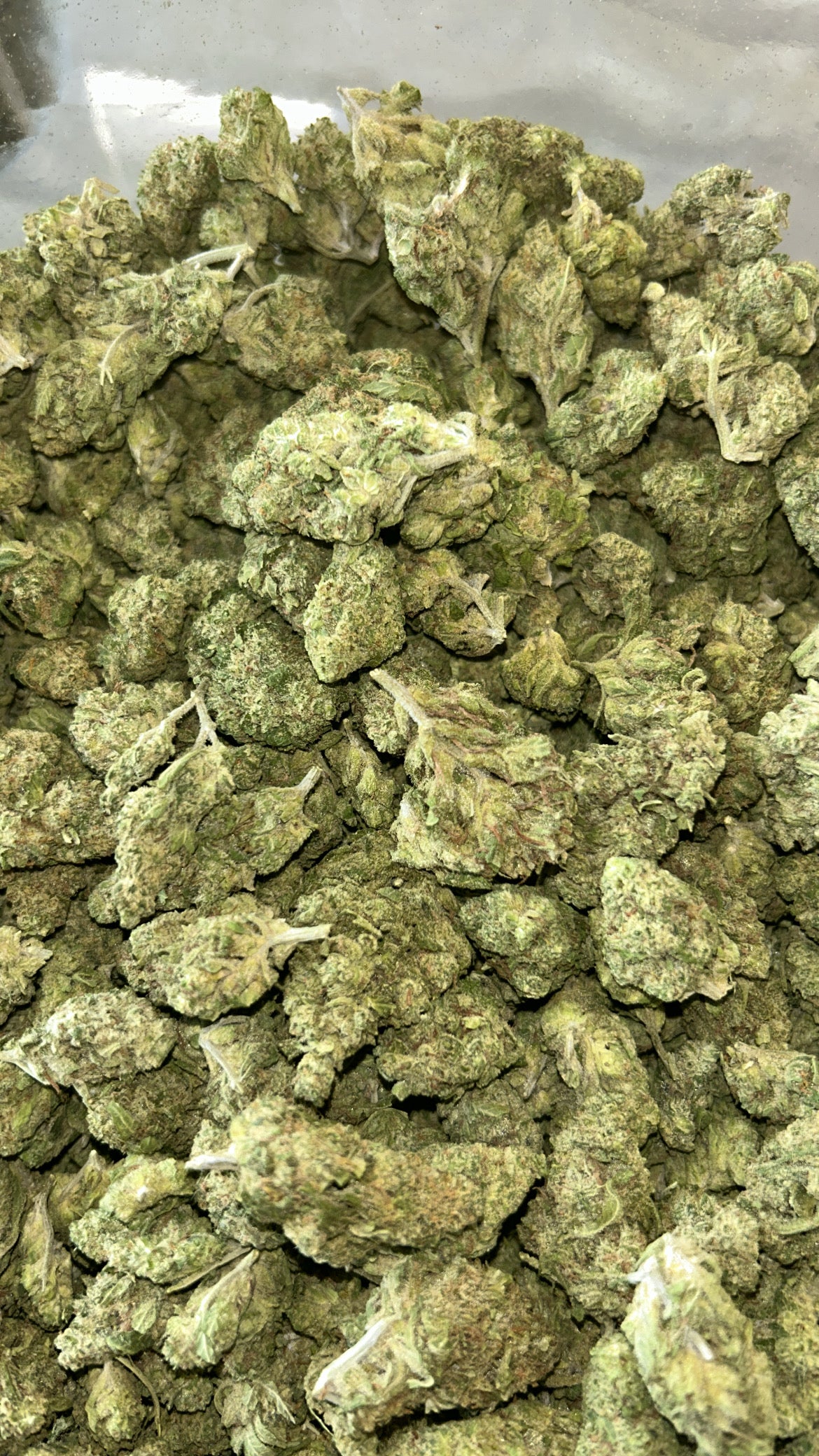 EXOTIC THCa LBS